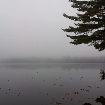 Black Lake Cabins Torrance Luaran gambar