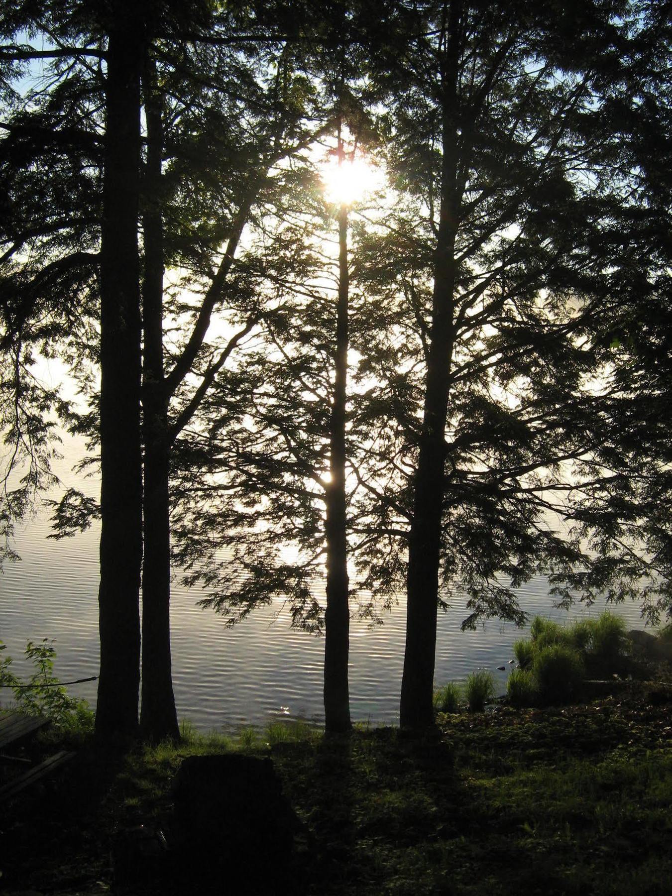 Black Lake Cabins Torrance Luaran gambar